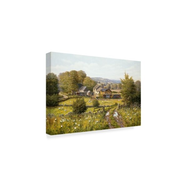 Bill Makinson 'Dale Farm' Canvas Art,30x47